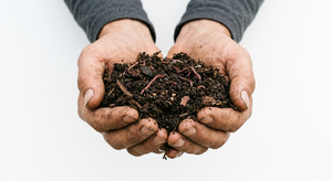 Vermicompost de matière organique avec 15 % d'humidité, durée de conservation de 12 mois, pour le jardinage, l'aménagement paysager et l'agriculture - Product Image 2