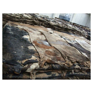 Peaux de vache salées séchées de qualité supérieure pour l'exportation, destinées à l'industrie du cuir mondiale, sélection de haute qualité, approvisionnement en vrac - Product Image 5