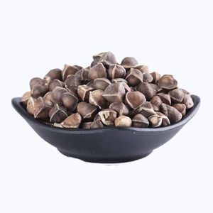 Semillas de Moringa Aptas para Agricultores Profesionales y Desarrollo de Plantaciones - Product Image 1