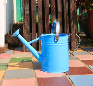 Arrosoir en métal de style industriel pour le jardinage, construction en acier durable, long bec pour une arrosage contrôlé - Product Image 2