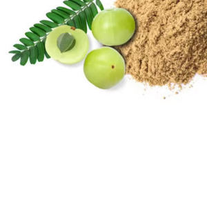 Poudre d'Amla Indienne Fraîche de Haute Qualité 100% Pure, Approvisionnement en Gros pour les Marchés Alimentaires Internationaux B2B - Product Image 2