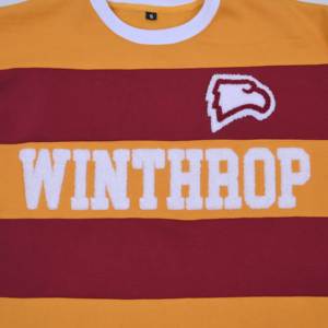 High Quality Custom Logo Manufacturers <b>Men</b>’s <b>Striped</b> Cotton Fleece with Chenille Embroidery Custom Logo Winter Wear Sweatshirt - Product Image 3