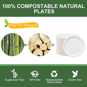 Assiettes en papier jetables de 10 pouces, robustes, imperméables, de qualité alimentaire, lot de 125, 100 % compostables, écologiques, en bagasse, sans PFAS, pour nouilles - Product Image 5