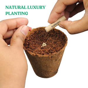 Eco Friendly Plantable <b>Seed</b> Pen Sustainable Cork & Recycled <b>Paper</b> Blue Ink 0.7mm Ballpoint Pen for Corporate Gifting - Product Image 3