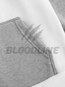 Sweat-shirt à capuche pour homme Bloodline, manches raglan, imprimé, poche, décontracté, pour l'automne - Product Image 4