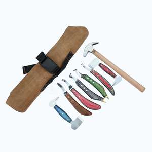 Kit de herramientas para herrador con martillo, cortador de doble punta, cuchilla D, cuchillo para pezuñas, bucle para abscesos Rainbow y dos cuchillos para pezuñas con extremo de latón - Product Image 6