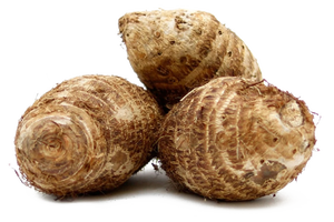 Poudre de racine de canna de Vietnam en vrac – Amidon de haute pureté pour l'industrie alimentaire et des boissons - Product Image 5