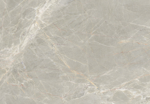 กระเบื้องปูพื้นและผนังพอร์ซเลนลายพิสตาชิโอ รุ่นโมเดิร์น พิทาตร้า ผิวด้าน ทนกรด สำหรับตกแต่งภายใน วิลล่า โรงพยาบาล ขนาด 60x120 ซม. - Product Image 5