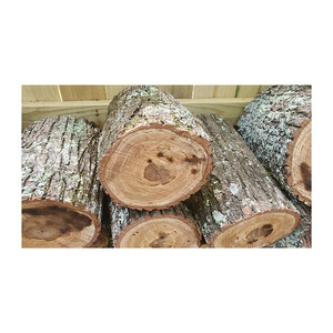 Bois de chauffage en chêne de qualité supérieure, proposé en gros aux entreprises de chauffage et d'énergie - Product Image 5