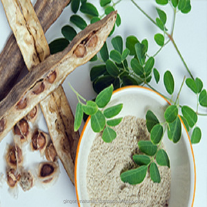 Fournisseur en gros de poudre de Moringa de produits agricoles de première qualité d'Inde - Product Image 6