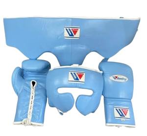 Ensemble de sparring de boxe professionnel personnalisé bleu ciel, en cuir de vachette véritable, pour la boxe et la salle de sport - Product Image 1