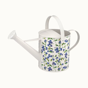 บัวรดน้ำโลหะตกแต่งสวยงามสำหรับการปลูกต้นไม้ทั้งในร่มและกลางแจ้ง พร้อมพื้นผิวเรียบและจับถนัดมือ - Product Image 1