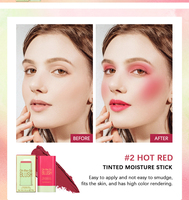 Stick de blush crème pour le visage, vegan, à base de plantes, waterproof, pour les peaux claires, avec logo personnalisé
