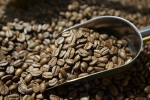 Café Robusta Orgánico Vietnam USDA, Tostado y Molido, Grado Superior, solo 0.1% de grano negro y roto, Exportación Directa y Suministro a Granel - Product Image 3