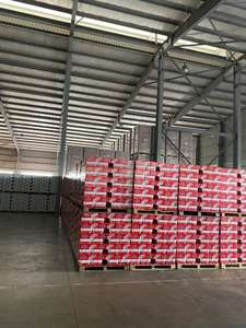 Abest 330ml Concentré Jus de Mangue Frais Boisson Traitement Naturel à Base d'Eau Prêt à l'Exportation De A & B Vietnam - Product Image 5