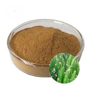 Extrait de Cissus Quadrangularis 100% naturel 10:1 en poudre, qualité alimentaire, poudre de Cissus Quadrangularis en vrac, provenance d'Inde - Product Image 2
