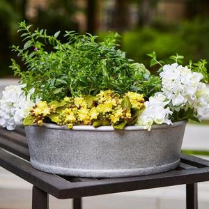 Maceta Elíptica de Acero Galvanizado de Alta Resistencia para Interiores y Exteriores con Capacidad Personalizable para Jardín y Hogar - Product Image 5