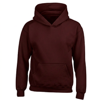 Sweat-shirts à capuche pour hommes, mode décontractée, streetwear hip-hop, sweat-shirt en molleton uni, 100% coton, hiver