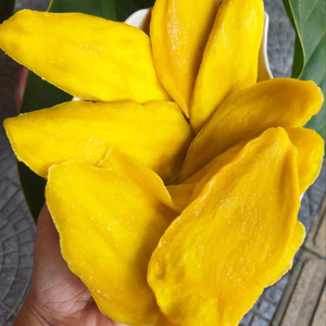 Soft Sweet <b>Dried</b> <b>Mango</b> No SO2 Vietnamese Water Preserved Vacuum Pack & Bulk Packaging Wholesale-Model WA84789310321 - Product Image 1