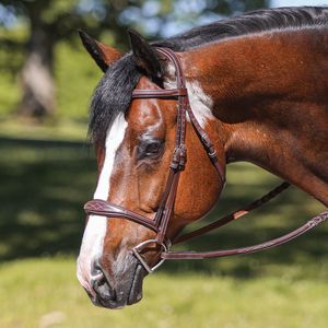 Bridon en cuir de cheval en gros avec sangle de nez, couleur personnalisable, échantillon disponible, logo personnalisable au meilleur prix - Product Image 1