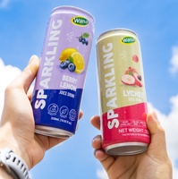 Groothandel Leverancier Private Label OEM ODM Sprankelende Aardbeien Sap Soda Puree Magere Versie 330ml Blikje Wana Fabrikant Vietnam