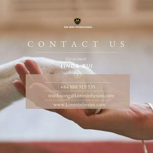 Juguete Masticable para Perros de Madera de Café Natural – Barra Masticable Resistente para la Limpieza de Dientes - Product Image 4