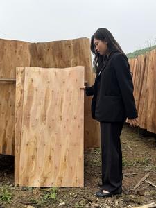 Láminas de Chapa de Eucalipto Naturales, Ecológicas y Duraderas, Corte Rotatorio (1270 mm de Longitud) para Producción de Muebles - Product Image 2
