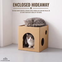 Maison à gratter pour chat en carton 2-en-1