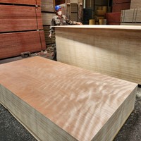 Norme européenne Okoumé Commercial Contreplaqué 12mm/15mm/18mm Okoumé Contreplaqué de haute qualité Vente en gros du fabricant au Vietnam