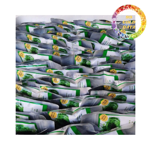 Uvas de Mar Naturales de Vietnam, Superalimento Premium para Tendencias de Alimentación Saludable - Product Image 6