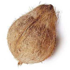 Premium <b>Fresh</b> Export Quality <b>Semi</b> <b>Husked</b> <b>Coconut</b> From Indonesia Food Storage and Container - Product Image 5