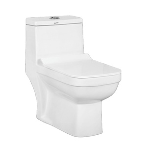 Inodoro de cerámica de una pieza de grado premium, tanque oculto de trampa P de descarga de gravedad de doble descarga para uso de lavabo exterior de Villa Hotel - Product Image 1