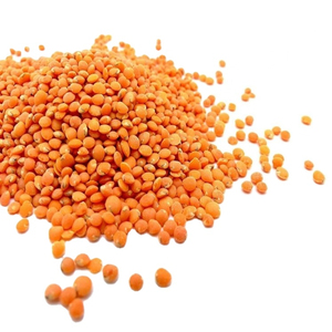 Lentilles vertes fraîches en gros, qualité supérieure, stock pour commandes B2B de grande quantité - Product Image 6