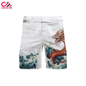 Shorts de boxe MMA pour hommes Fairtex, très demandés, impression personnalisée sur le devant, coupe ajustée, respirants, confortables, tissu polyester et élasthanne, adulte - Product Image 1