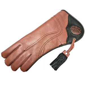 Guantes de Cetrería de Doble Capa de Cuero, Estilo Nuevo, con Logotipo Bordado de Águila en la Palma, para Trabajar con Aves de Cetrería - Product Image 5