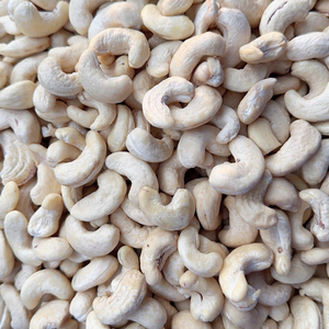 Vietnam Trusted Supplier Cashew Nuts Nuts Kernels Cheap Bulk Cashew Kernel SANTIGO - Product Image 1