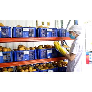 Distributors Carbonated Mango Juice Drink 330ml <b>Slim</b> Can OEM Vietnam CO2 <b>Water</b> - Product Image 4