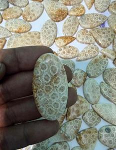 Coral Fósil Natural, Cabujón de Cristal Pulido, Gemas Minerales de Alta Calidad, Formas Mixtas, Materiales a Granel para la Fabricación de Joyería - Product Image 3