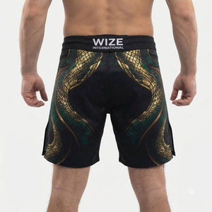 2026 Top Trending MMA Boxing Short For Men Adult Size Comfortable Soft Quick Dry Fabric Custom Spandex Polyester MMA Shorts - Product Image 2