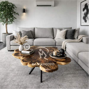 Hermosa Mesa de Centro de Madera de Palisandro con Patas de Hierro, Diseño Moderno y Minimalista para Muebles de Sala de Estar - Product Image 2