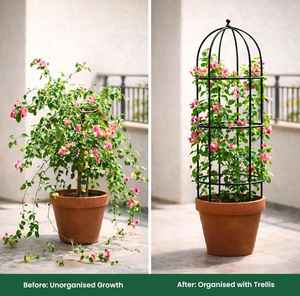 Support pour plantes, support de jardinage, outils de jardin, support pour jardinière, porte-plantes, accessoires de jardin - Product Image 2