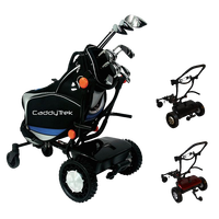 Chariot de golf professionnel personnalisé avec batterie, sac de golf, chariot télécommandé, buggy de golf
