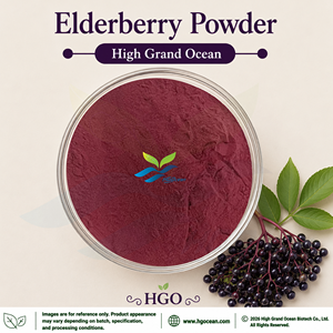 HGO Factory Direct Supply of Natural <b>Elderberry</b> Powder (Food Grade) Fruit powder Spray Drying or Freeze-<b>dried</b> <b>Elderberry</b> Powder - Product Image 1
