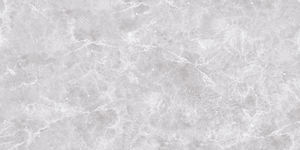 Carreaux de céramique polis brillants Modèle 1160-D 300x600mm - Product Image 1