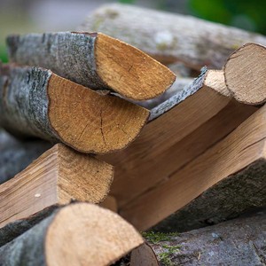 Suministro Confiable de Leña a Granel con Troncos de Madera Dura Secados en Horno, Combustible de Combustión Limpia para Importadores, Demanda Energética de Invierno - Product Image 4
