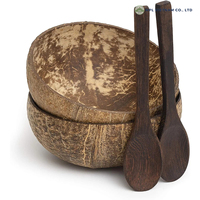 Bol en coquille de noix de coco fait main, vaisselle écologique avec cuillère pour soupe, riz et nouilles, vente en gros pour la vente au détail, origine Vietnam