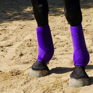 Bottes de protection en maille respirante de haute qualité pour l'équitation, construction en maille ventilée, support robuste pour les jambes, service OEM - Product Image 6