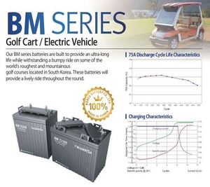 NEWMAX BM6240 <b>6V</b> 240AH AGM Deep Cycle Solar UPS Telecom Renewable Energy Storage <b>Battery</b> 1440Wh Not Chargeable Korea - Product Image 4