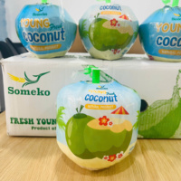 Thump Open Coconut - Vente en gros/OEM accepté, fabricant de boissons à base d'eau de coco biologique 100% pure de qualité supérieure en conserve