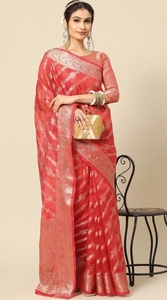Sari de organza estilo Bollywood KV - Product Image 2